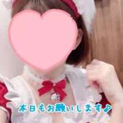 さち さち（エコ京橋店） スピードエコ京橋店