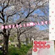 ヒメ日記 2026/04/02 19:01 投稿 さち スピードエコ京橋店