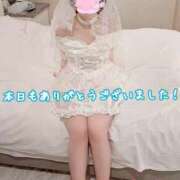 ヒメ日記 2026/06/13 23:51 投稿 さち スピードエコ京橋店