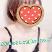 ヒメ日記 2026/07/23 19:01 投稿 さち スピードエコ京橋店