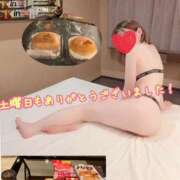 ヒメ日記 2026/09/08 13:24 投稿 さち スピードエコ京橋店