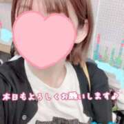 ヒメ日記 2026/10/12 09:57 投稿 さち スピードエコ京橋店