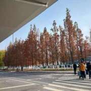 ヒメ日記 2025/11/17 09:08 投稿 風見優花 ローテンブルク