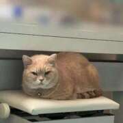 ヒメ日記 2025/11/30 07:30 投稿 風見優花 ローテンブルク