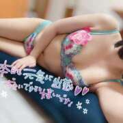 ヒメ日記 2025/05/31 12:31 投稿 いおり 淫乱カンパニー 東金・茂原店