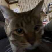 ヒメ日記 2026/04/04 11:13 投稿 片瀬りつ FROZEN(フローズン)