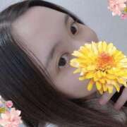 ヒメ日記 2025/06/17 08:13 投稿 あきら しろうと娘　本店