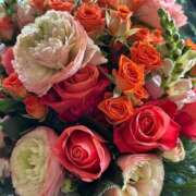 ヒメ日記 2025/11/16 11:22 投稿 八代 涼楓 クラブアイリス名古屋