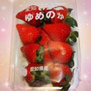 ヒメ日記 2025/12/19 10:42 投稿 八代 涼楓 クラブアイリス名古屋