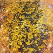 ヒメ日記 2025/12/27 11:12 投稿 八代 涼楓 クラブアイリス名古屋