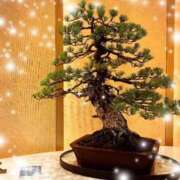 ヒメ日記 2025/12/30 11:32 投稿 八代 涼楓 クラブアイリス名古屋