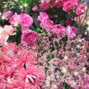 ヒメ日記 2026/01/13 13:42 投稿 八代 涼楓 クラブアイリス名古屋