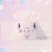 ヒメ日記 2026/01/29 09:52 投稿 八代 涼楓 クラブアイリス名古屋