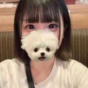 ヒメ日記 2025/06/25 06:25 投稿 ノノ ファーストレディー