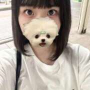 ヒメ日記 2025/07/12 07:00 投稿 ノノ ファーストレディー