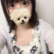 ヒメ日記 2025/07/17 07:56 投稿 ノノ ファーストレディー