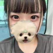 ヒメ日記 2025/08/04 06:50 投稿 ノノ ファーストレディー