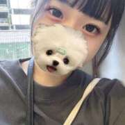 ヒメ日記 2025/08/07 07:14 投稿 ノノ ファーストレディー