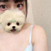 ヒメ日記 2025/08/13 07:52 投稿 ノノ ファーストレディー