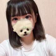 ノノ きんよーび ファーストレディー