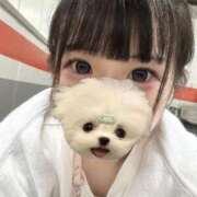 ノノ おはよー！どよーび！ ファーストレディー