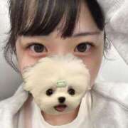 ノノ 前髪！ ファーストレディー