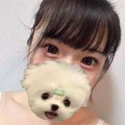 ノノ あさー！ ファーストレディー