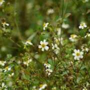 ヒメ日記 2026/04/18 23:39 投稿 りあん 京都デリヘル倶楽部