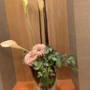 ヒメ日記 2025/06/11 12:05 投稿 りあん 京都ホテヘル倶楽部