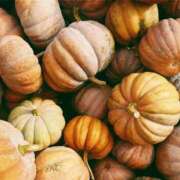 ヒメ日記 2025/10/04 02:13 投稿 りあん 京都ホテヘル倶楽部