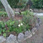 ヒメ日記 2025/06/09 21:27 投稿 しょうこ 俺のジュニア