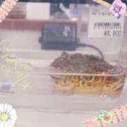 ヒメ日記 2025/07/06 01:46 投稿 しょうこ 俺のジュニア