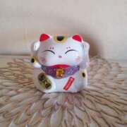 ヒメ日記 2025/07/25 16:06 投稿 しょうこ 俺のジュニア