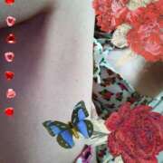 ヒメ日記 2025/08/01 20:46 投稿 しょうこ 俺のジュニア