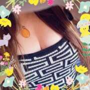 ヒメ日記 2025/08/13 11:22 投稿 しょうこ 俺のジュニア