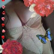 ヒメ日記 2025/08/15 11:00 投稿 しょうこ 俺のジュニア