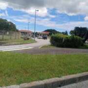 ヒメ日記 2025/08/31 19:27 投稿 しょうこ 俺のジュニア