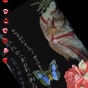ヒメ日記 2026/04/01 13:26 投稿 しょうこ 俺のジュニア