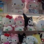 しょうこ 😴乳眠い😶 俺のジュニア