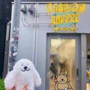 める お久しぶりです🐰 新宿スピン