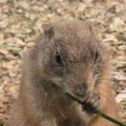 ヒメ日記 2026/01/20 09:07 投稿 れみ ハッピーブリッジ