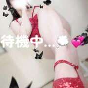 ヒメ日記 2025/07/15 14:50 投稿 広須～HIROSU～ BBW名古屋店