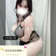 ヒメ日記 2025/08/12 16:33 投稿 広須～HIROSU～ BBW名古屋店