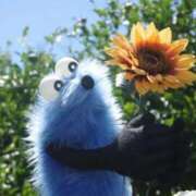 ヒメ日記 2025/09/30 11:26 投稿 らいち♡極上SPコース♡ PANTHER（パンサー）