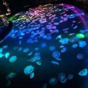 ヒメ日記 2025/12/23 20:13 投稿 らいち♡極上SPコース♡ PANTHER（パンサー）