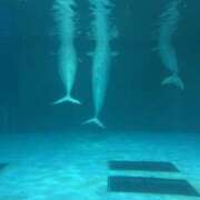 ヒメ日記 2025/08/19 10:15 投稿 まさみ 東京ららら