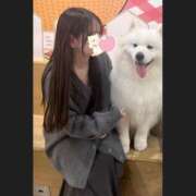 ヒメ日記 2025/05/29 18:29 投稿 すい デザインプリズム新宿