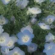 ヒメ日記 2025/06/23 00:11 投稿 わつ おクンニ学園 横浜関内校