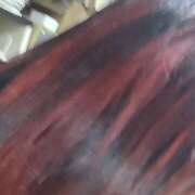 ヒメ日記 2025/06/13 16:28 投稿 天草明美 五十路マダム エクスプレス京都店