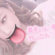 ヒメ日記 2025/11/16 04:43 投稿 スズカ Club NANA 神戸西宮